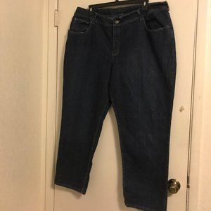 Riders by Lee Blue Jeans Medium Wash Size 24 Women